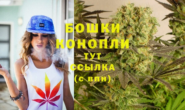 PSILOCYBIN Беломорск